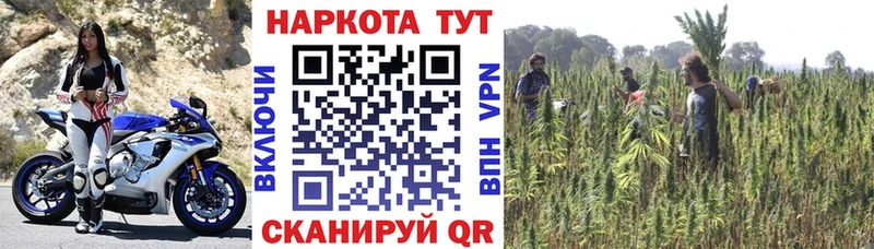Наркота Кодинск Метадон Конопля мега ONION ГАШИШ Кетамин Альфа ПВП МЕФ