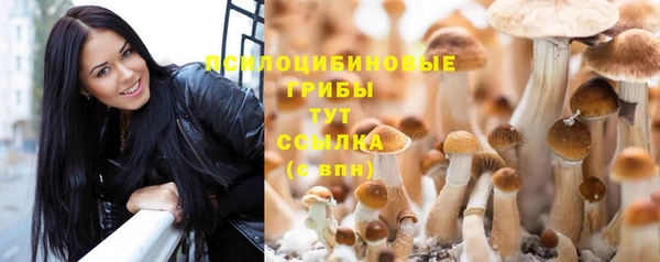 трава Карпинск
