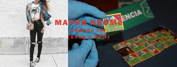 трава Карпинск