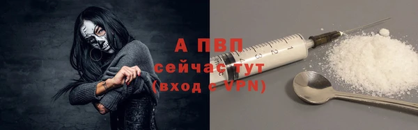 трава Карпинск