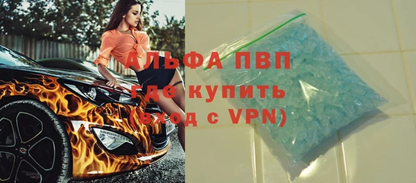 трава Карпинск