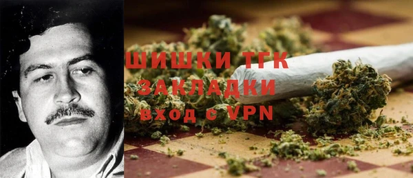 трава Карпинск