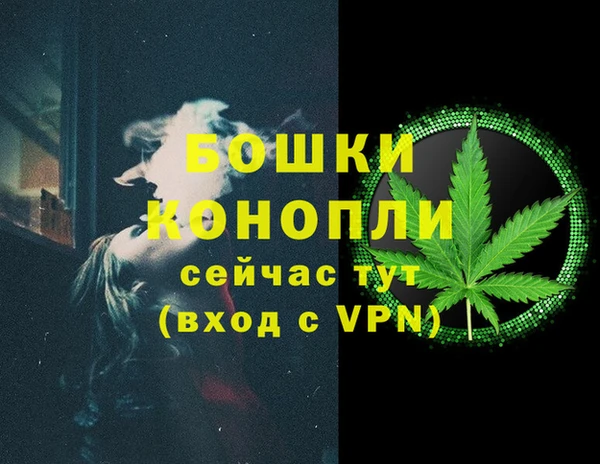 трава Карпинск
