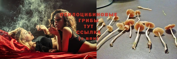 трава Карпинск