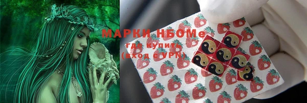 трава Карпинск
