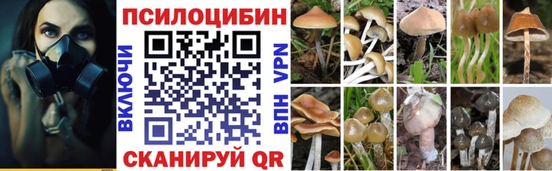 Галлюциногенные грибы MAGIC MUSHROOMS  Кодинск 